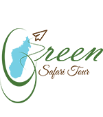 Green safari tours